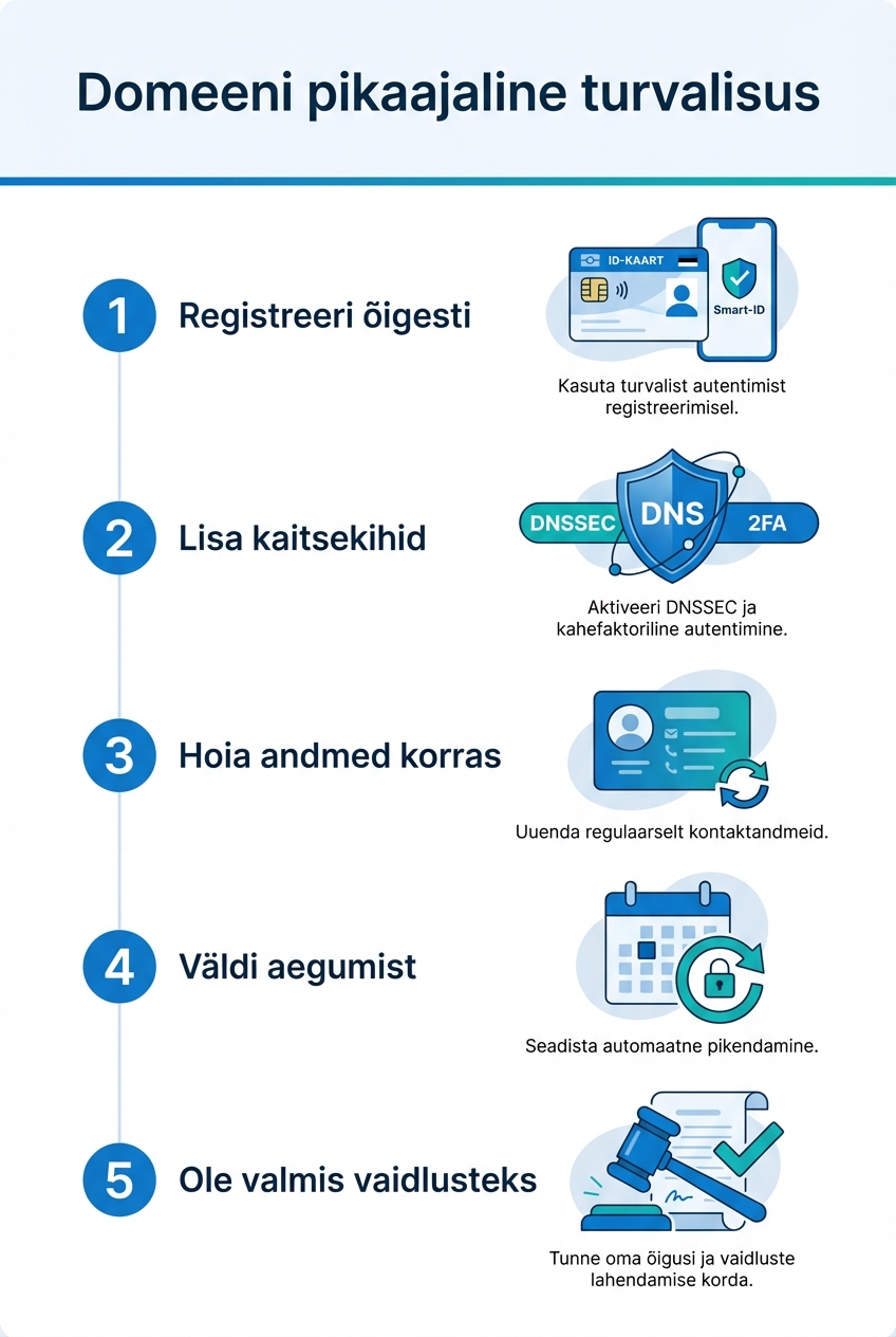 Domeeni turvalisuse infograafik
