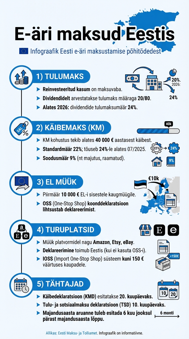 E-äri maksude infograafik