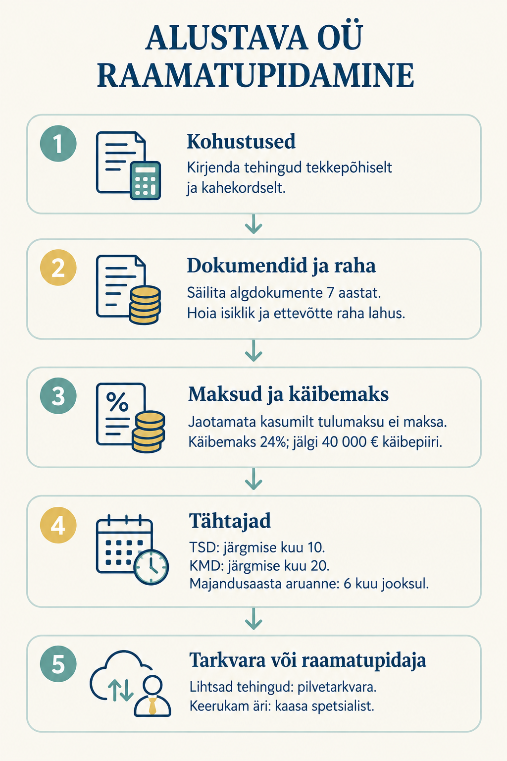Alustava ettevõtte raamatupidamise ülevaade